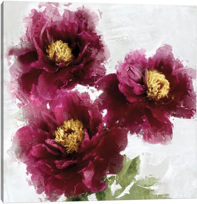 Burgundy Bloom I Canvas Art Print