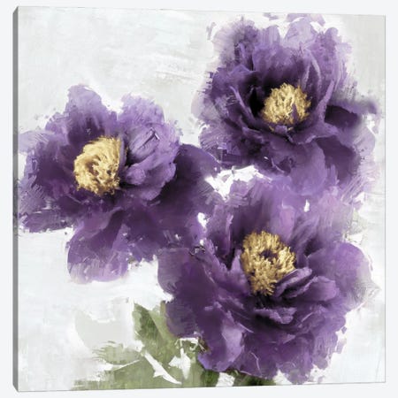 Purple Bloom II Canvas Print #JES23} by Jesse Stevens Canvas Art Print