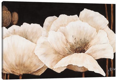 Amazing Poppies IV Canvas Art Print - Jettie Roseboom