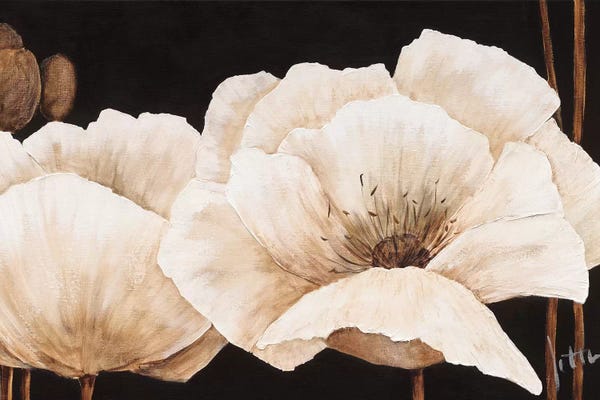 Jettie Roseboom: Amazing Poppies IV by Jettie Roseboom