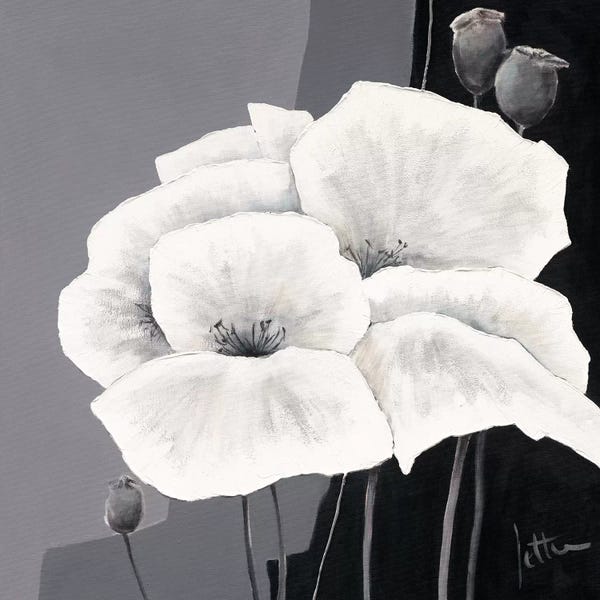 Jettie Roseboom: Decora II by Jettie Roseboom