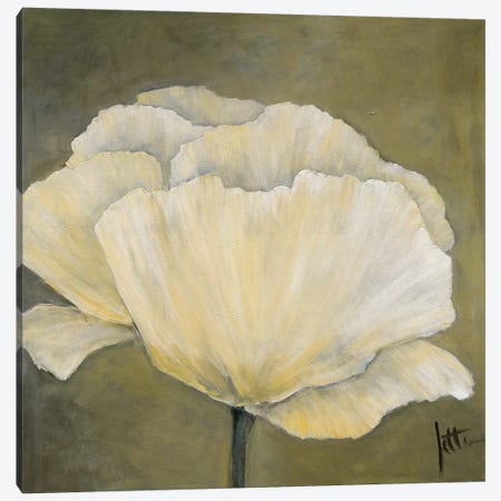 Poppy In White I Canvas Print #JET18} by Jettie Roseboom Canvas Art Print