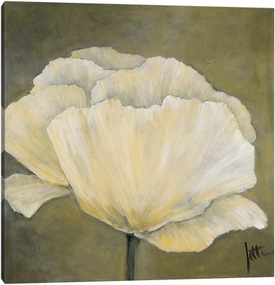 Poppy In White I Canvas Art Print - Jettie Roseboom