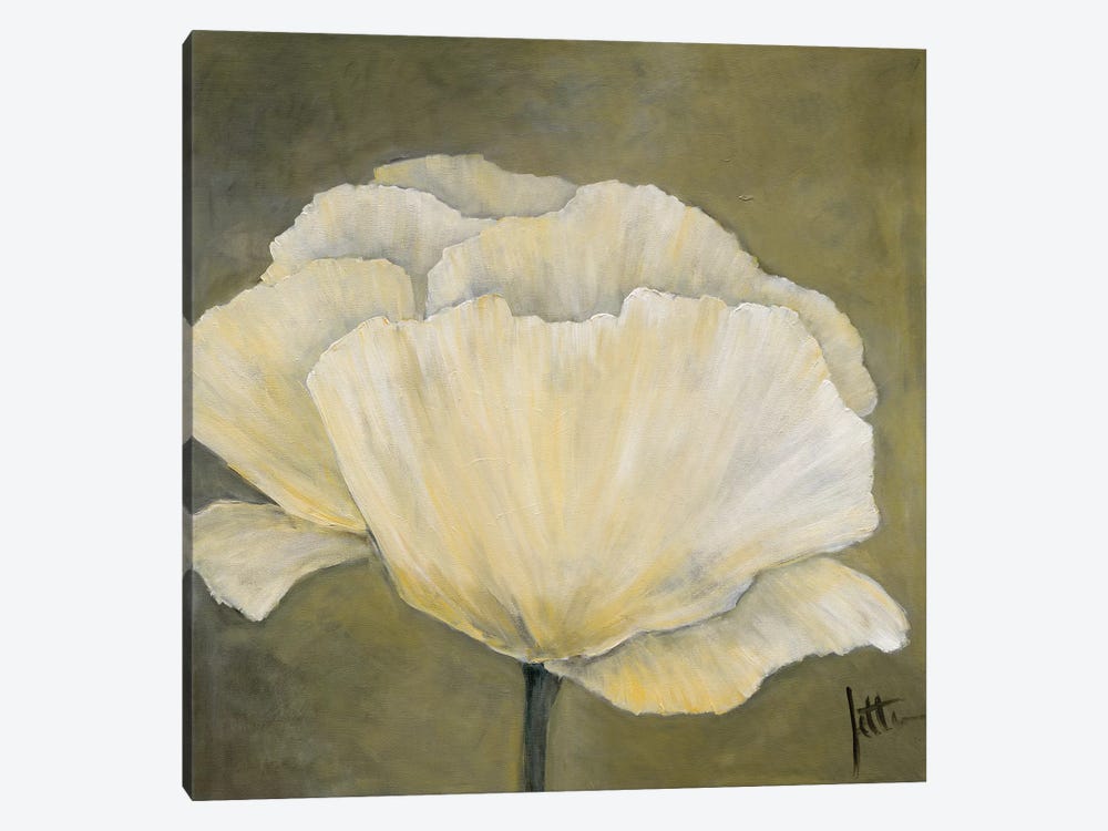 Poppy In White I by Jettie Roseboom 1-piece Canvas Wall Art