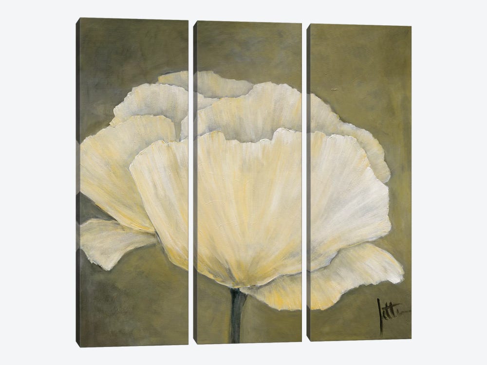 Poppy In White I by Jettie Roseboom 3-piece Canvas Artwork