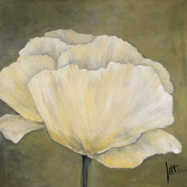 Jettie Roseboom: Poppy In White I by Jettie Roseboom