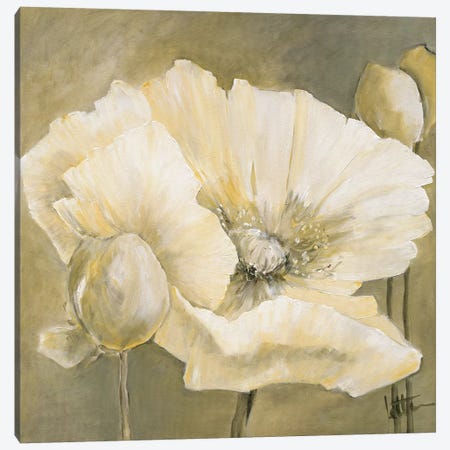 Poppy In White II Canvas Print #JET19} by Jettie Roseboom Art Print