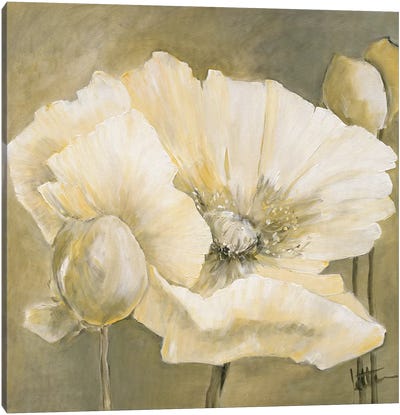 Poppy In White II Canvas Art Print - Floral Close-Up Art