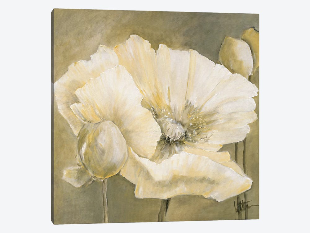 Poppy In White II by Jettie Roseboom 1-piece Canvas Print