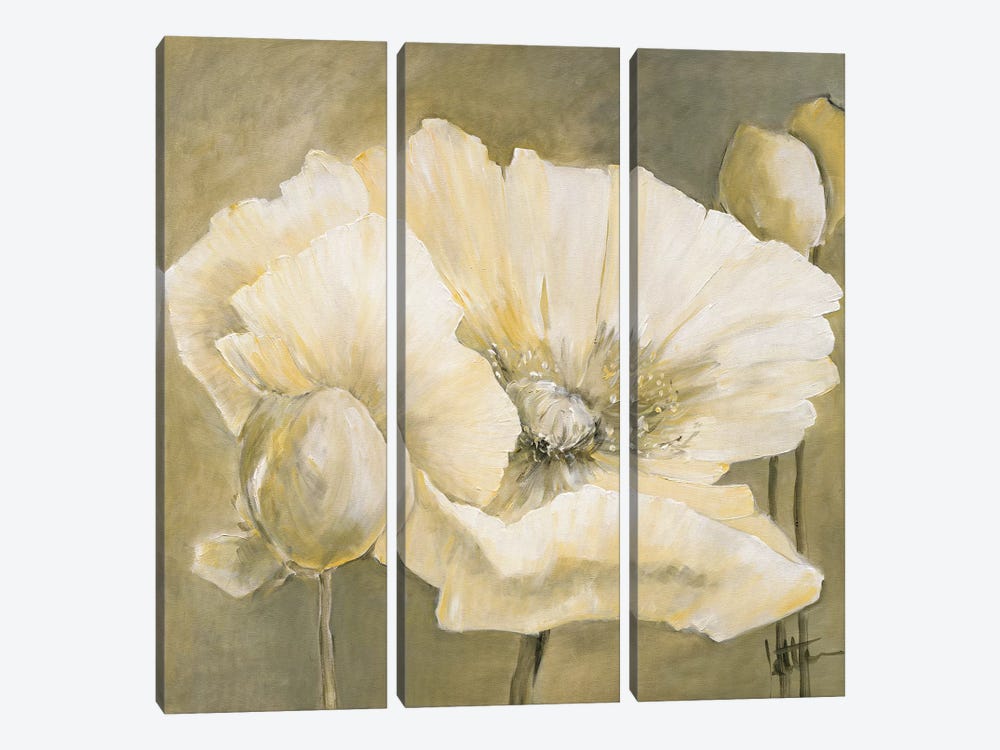 Poppy In White II by Jettie Roseboom 3-piece Canvas Art Print
