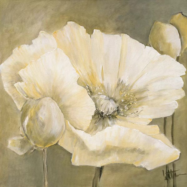 Jettie Roseboom: Poppy In White II by Jettie Roseboom