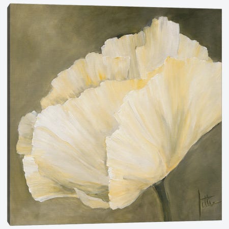 Poppy In White III Canvas Print #JET20} by Jettie Roseboom Canvas Artwork
