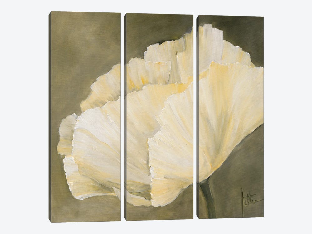 Poppy In White III by Jettie Roseboom 3-piece Canvas Art Print