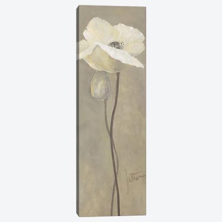 Poppy In White IV Canvas Print #JET21} by Jettie Roseboom Canvas Wall Art