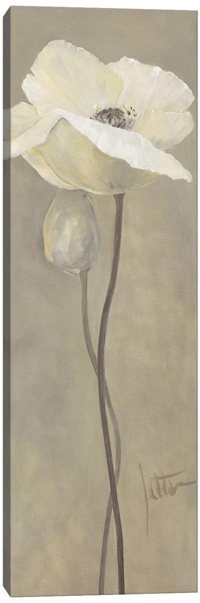 Poppy In White IV Canvas Art Print - Jettie Roseboom