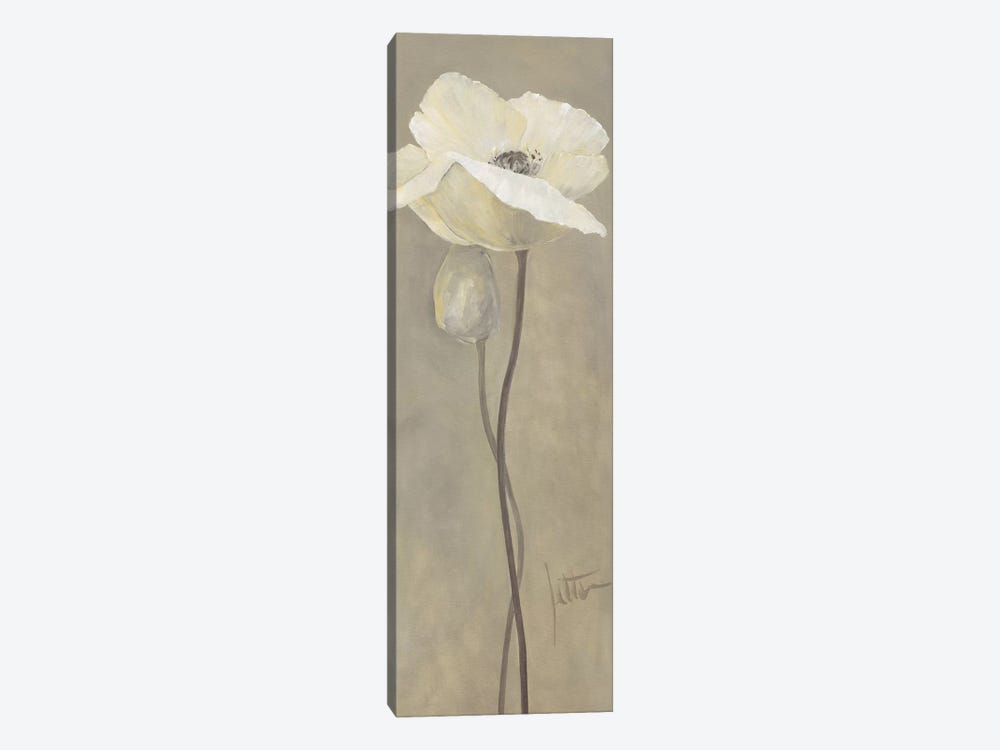 Poppy In White IV by Jettie Roseboom 1-piece Canvas Artwork