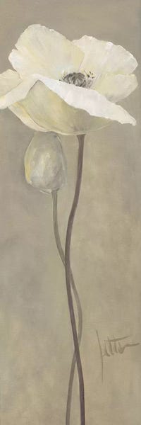 Poppies: Poppy In White IV by Jettie Roseboom