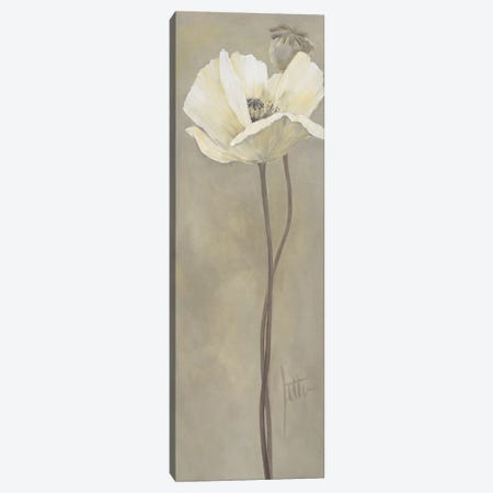 Poppy In White V Canvas Print #JET22} by Jettie Roseboom Canvas Wall Art