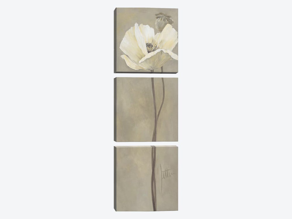 Poppy In White V by Jettie Roseboom 3-piece Canvas Print