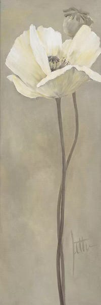 Jettie Roseboom: Poppy In White V by Jettie Roseboom