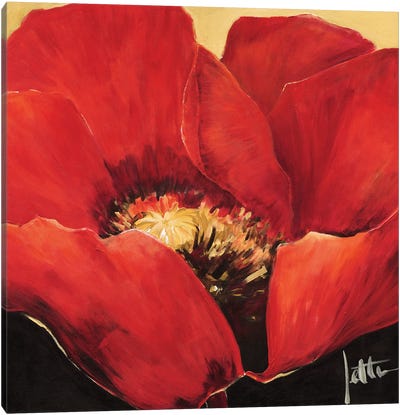 Red Beauty II Canvas Art Print - Jettie Roseboom