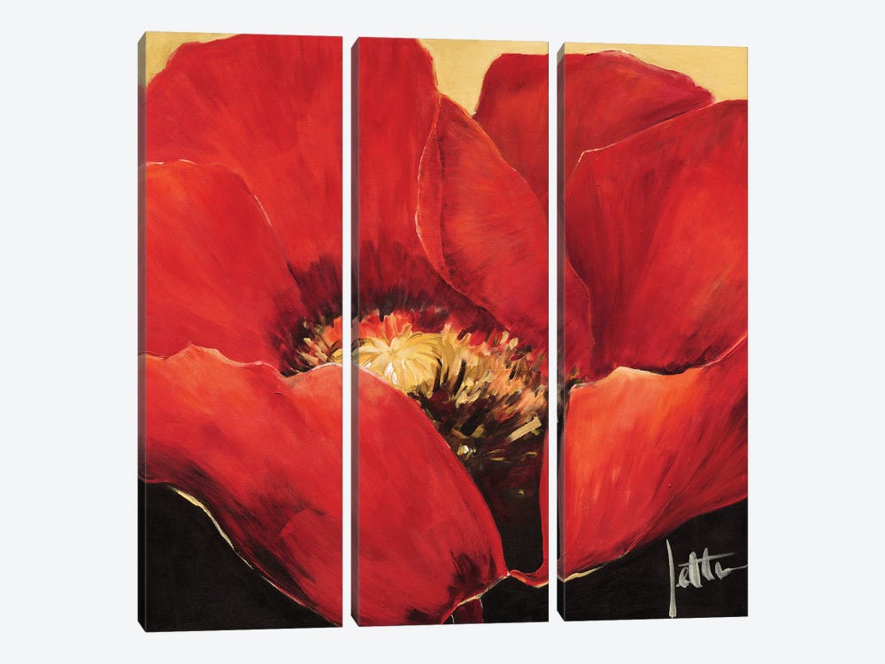 Red Beauty II by Jettie Roseboom 3-piece Canvas Print