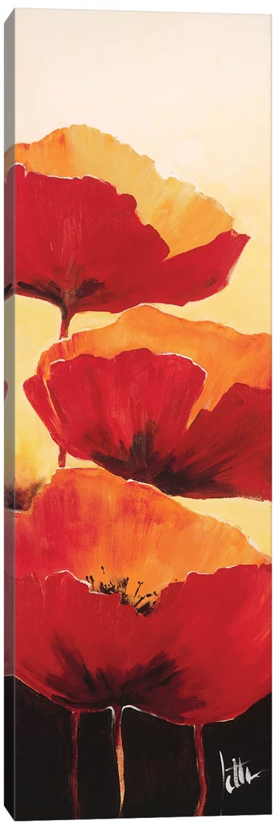 Three Red Poppies I Canvas Art Print - Jettie Roseboom