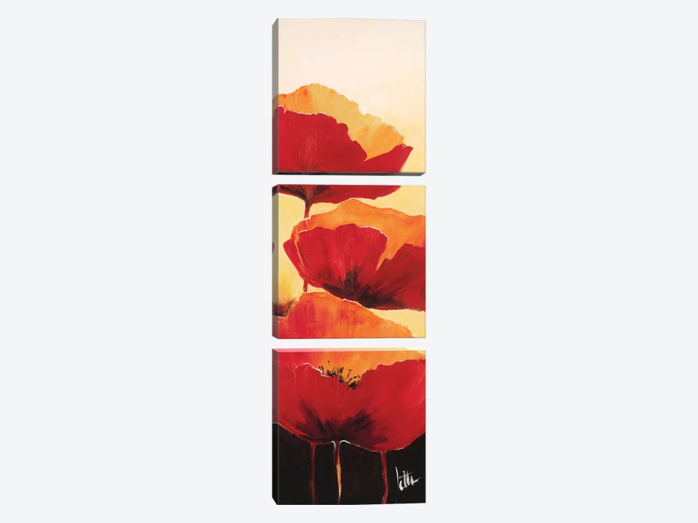 Three Red Poppies I by Jettie Roseboom 3-piece Canvas Art