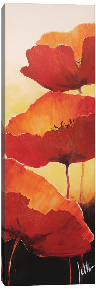 Three Red Poppies II Canvas Art Print - Jettie Roseboom