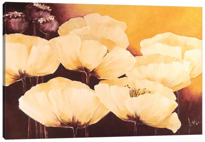 Yellow Poppies I Canvas Art Print - Jettie Roseboom
