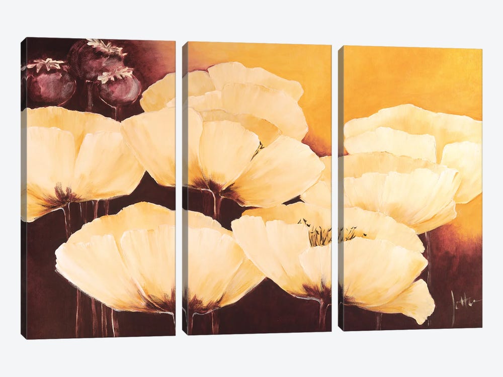 Yellow Poppies I 3-piece Canvas Art