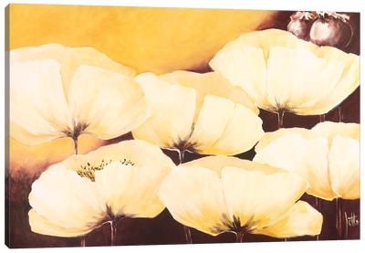 Yellow Poppies II Canvas Art Print - Jettie Roseboom