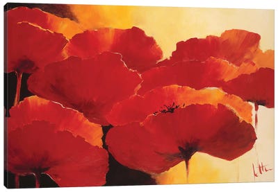 Absolute Beautiful I Canvas Art Print - Poppy Art