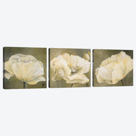 Poppy In White Triptych Canvas Print Set #JET3HSET002} by Jettie Roseboom Canvas Wall Art