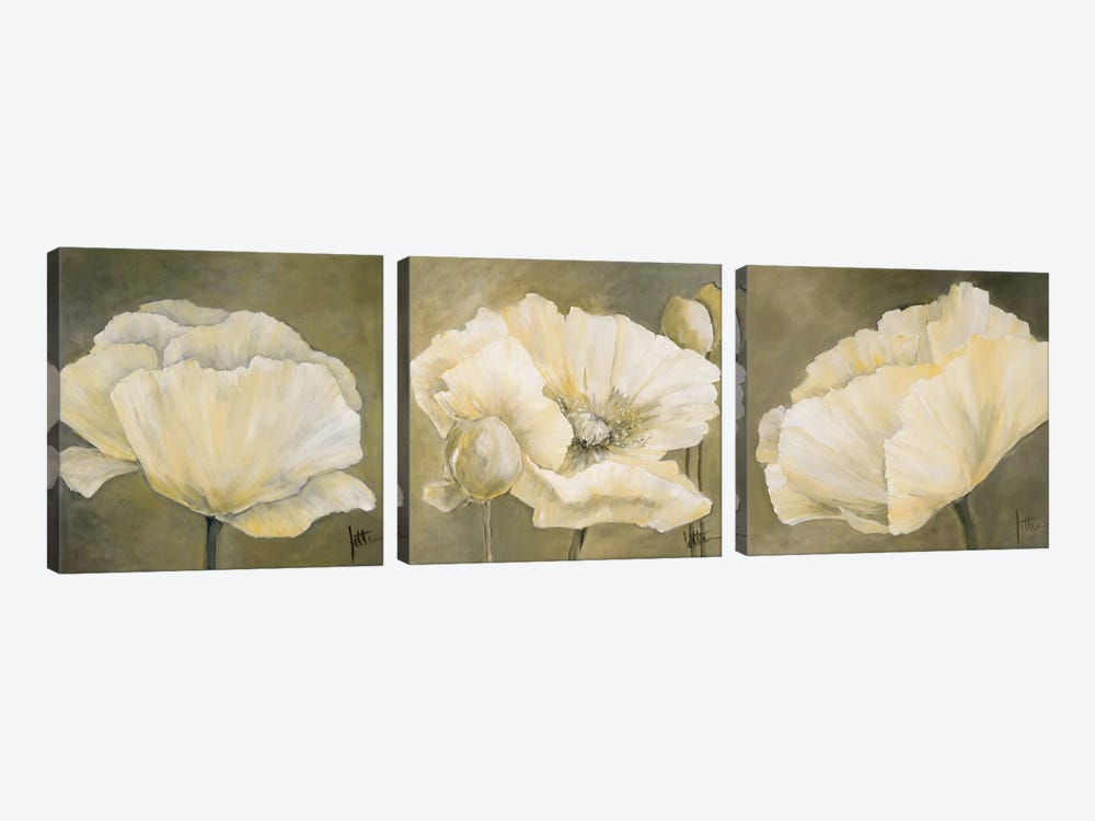 Poppy In White Triptych by Jettie Roseboom 3-piece Canvas Art Print