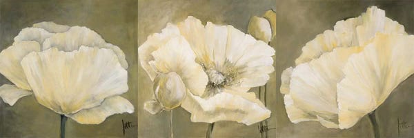 Jettie Roseboom