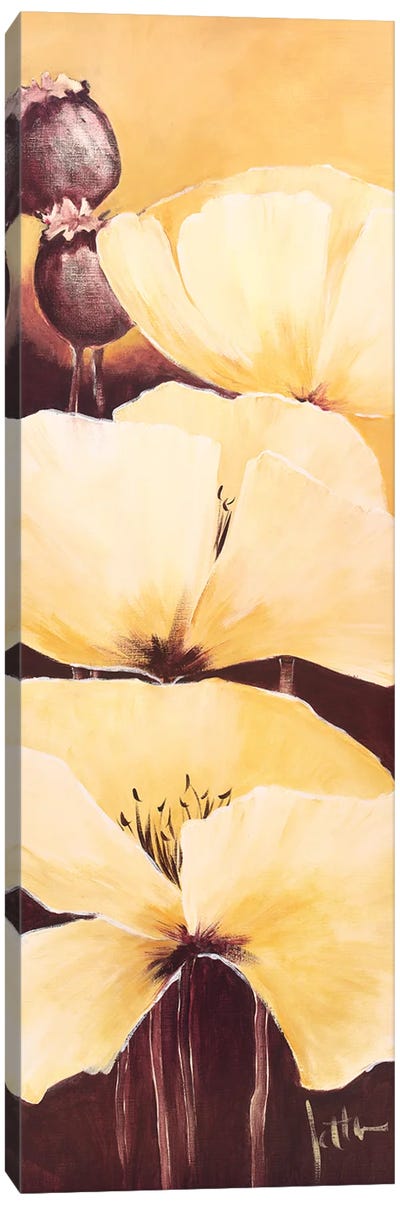 Yellow Poppies III Canvas Art Print - Jettie Roseboom