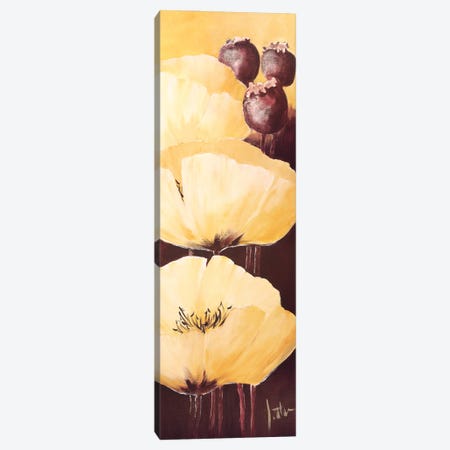 Yellow Poppies IV Canvas Print #JET41} by Jettie Roseboom Canvas Art
