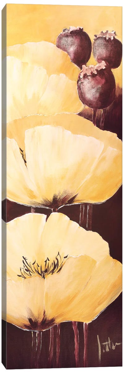 Yellow Poppies IV Canvas Art Print - Jettie Roseboom