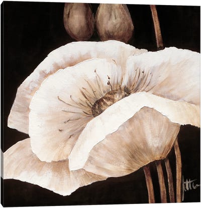 Amazing Poppies I Canvas Art Print - Jettie Roseboom