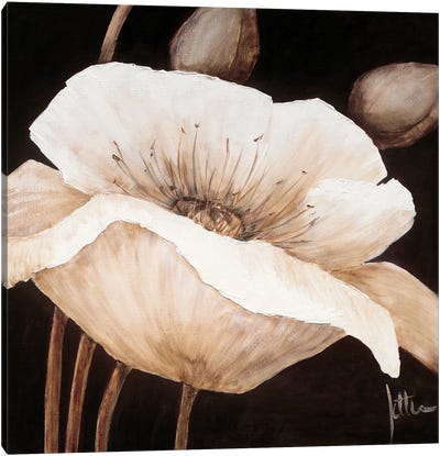 Amazing Poppies II Canvas Art Print - Jettie Roseboom