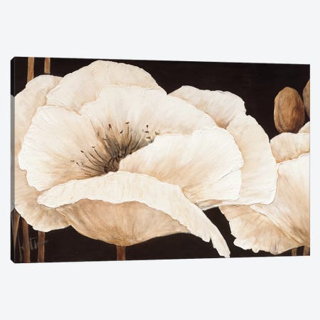 Amazing Poppies III Canvas Print #JET9} by Jettie Roseboom Canvas Art Print