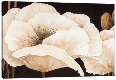 Amazing Poppies III Canvas Art Print - Jettie Roseboom