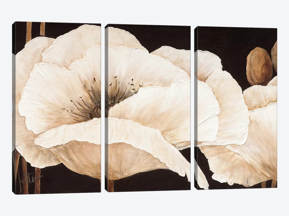 Amazing Poppies III by Jettie Roseboom 3-piece Canvas Print