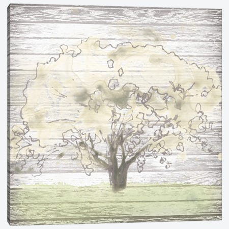 Barn Tree I Canvas Print #JEV1001} by June Erica Vess Canvas Print