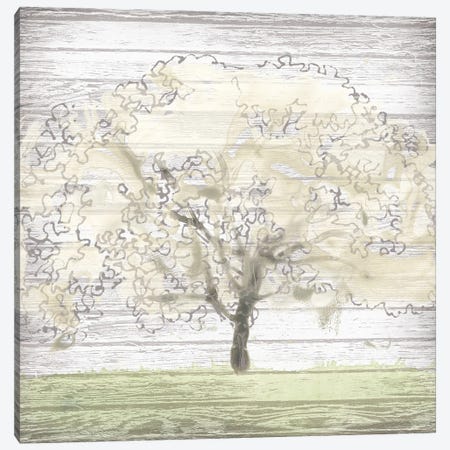 Barn Tree II Canvas Print #JEV1002} by June Erica Vess Canvas Print
