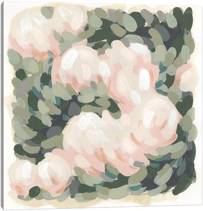 Blush & Celadon I Canvas Art Print - Coral in Focus 
