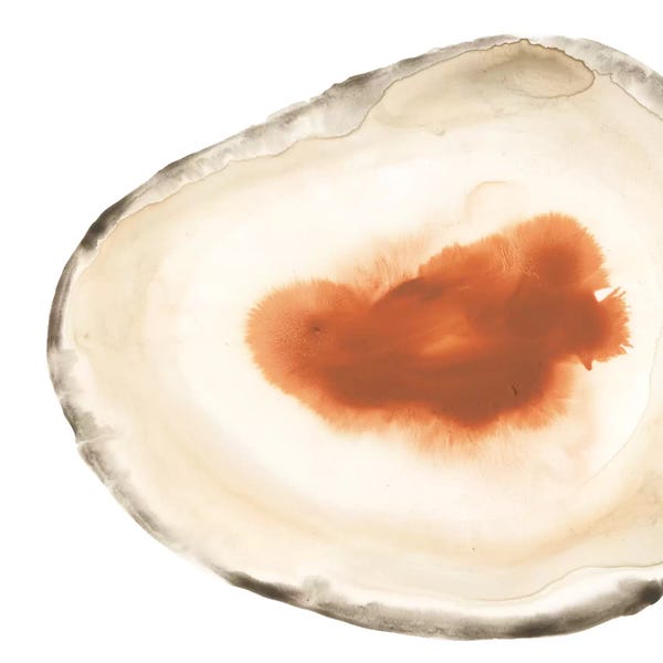 Agates, Geodes & Minerals: Cropped Geodes I by June Erica Vess