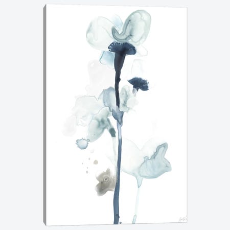 Midnight Blossoms I Canvas Print #JEV1097} by June Erica Vess Art Print
