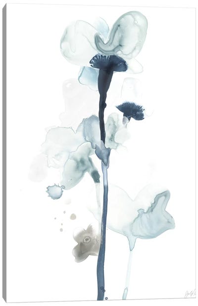 Midnight Blossoms I Canvas Art Print - June Erica Vess